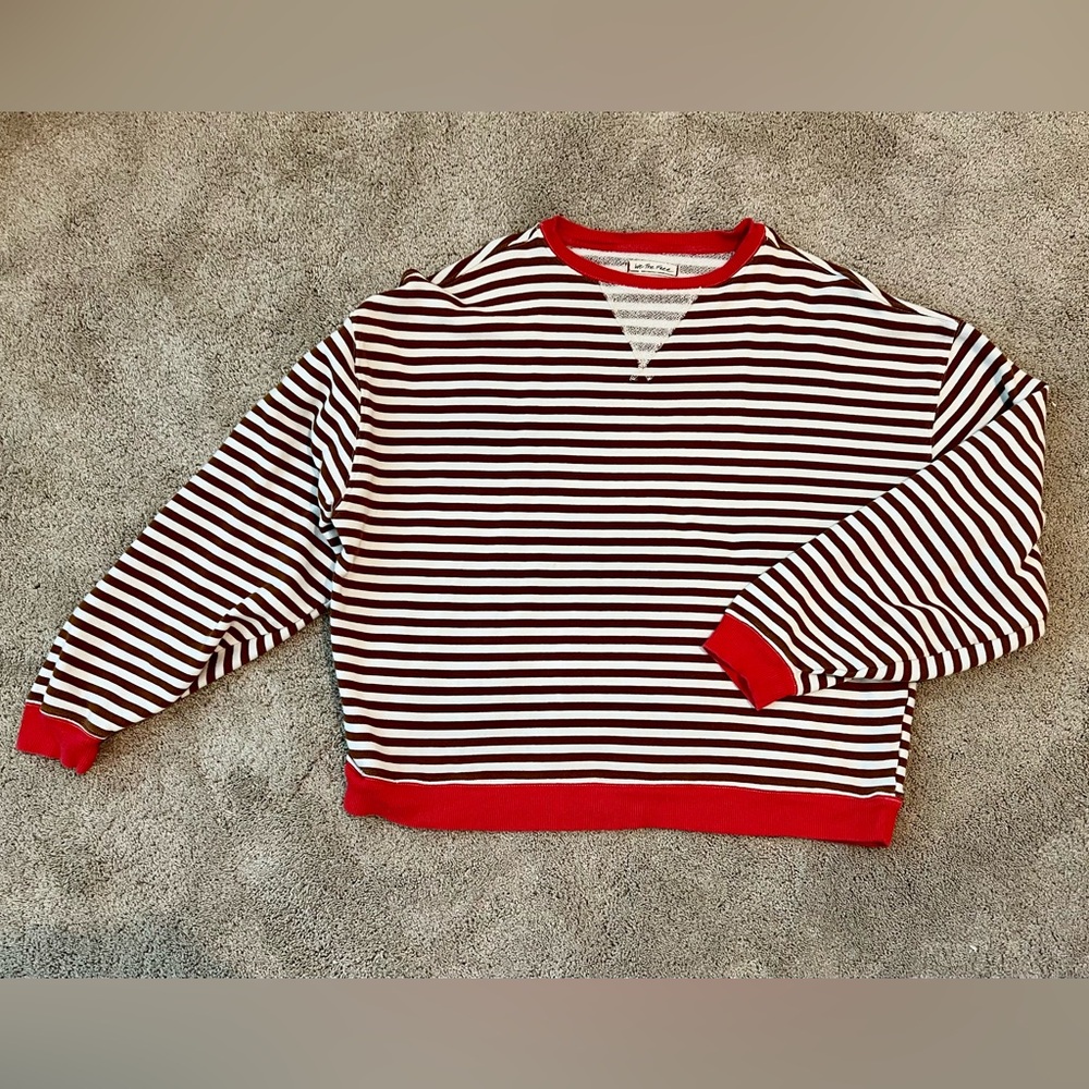 Free People We The Free Classic Striped Crewneck Sweatshirt in Coffee Combo